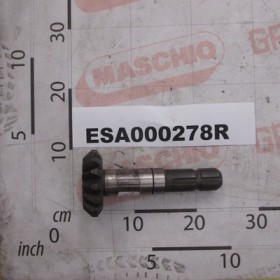 PINION
