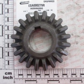GEAR