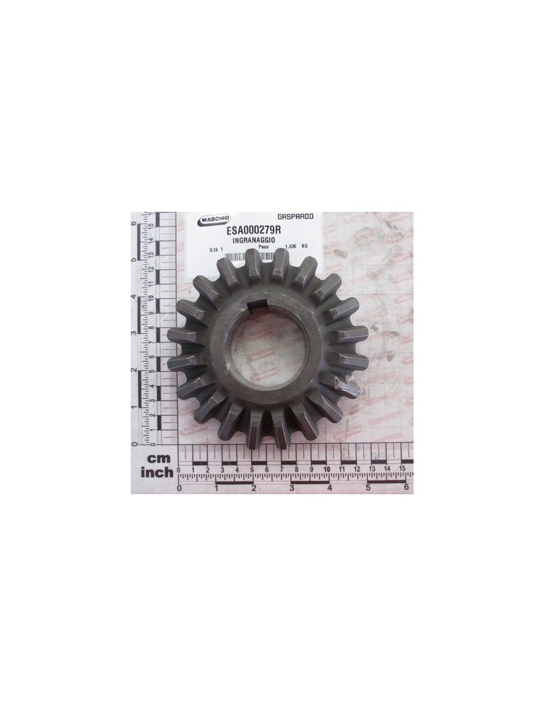GEAR