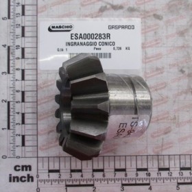 BEVEL GEAR