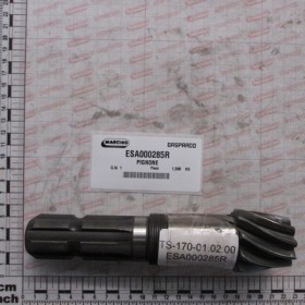 PINION