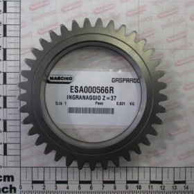 GEAR Z-37