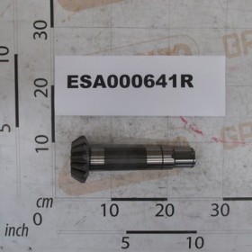 PINION
