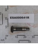 PINION