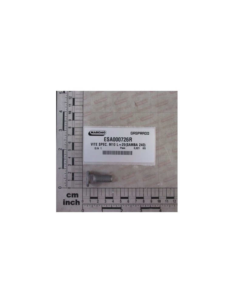 SPECIAL SCREW M10 L29 SAMBA240