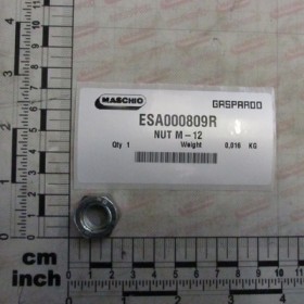 NUT M-12