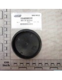SEAT OF BEARING