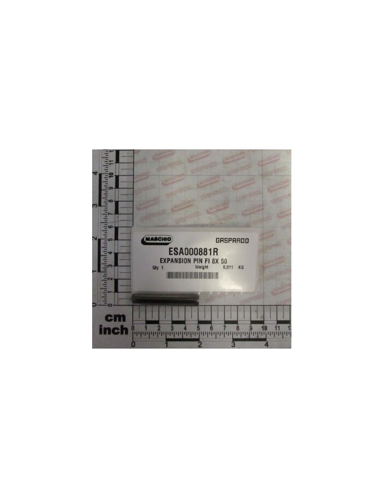 EXPANSION PIN FI 8X 50