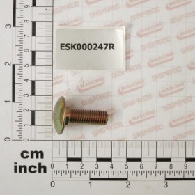 BOLT TBQST 10.9 M10X 30 ZNG SX