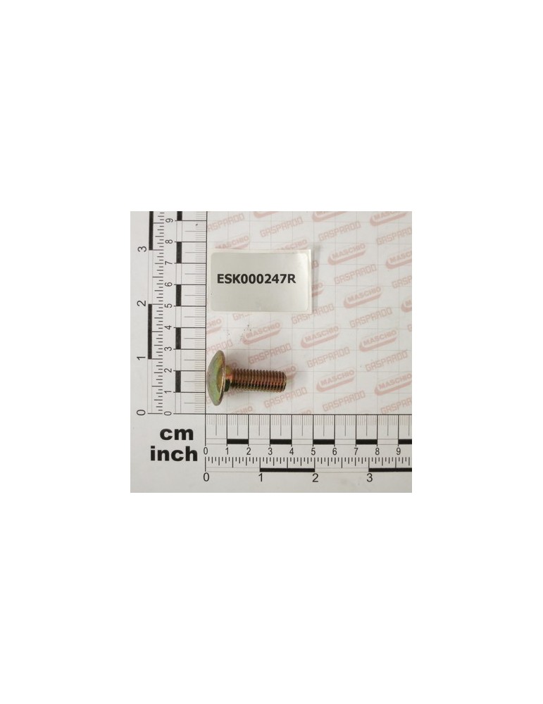 BOLT TBQST 10.9 M10X 30 ZNG SX