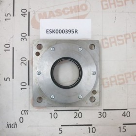 ANTERIOR SUPPORT SAMARA 5