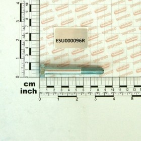 SCREW T.E. M10X80 8.8 5737 GRZ