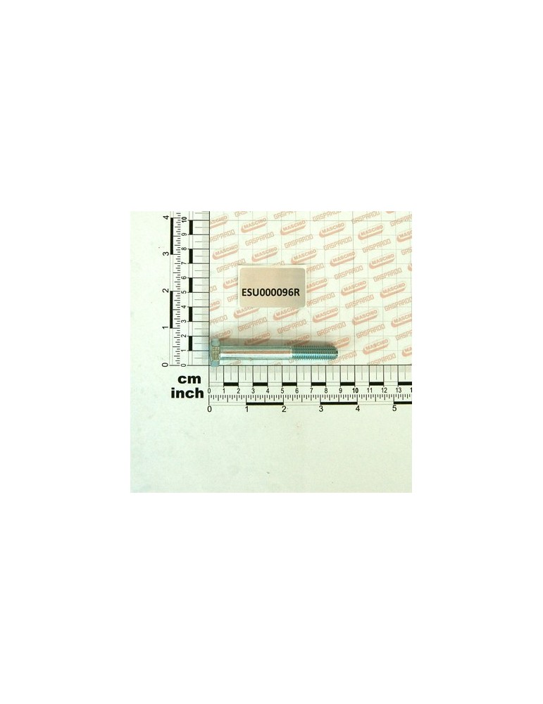SCREW T.E. M10X80 8.8 5737 GRZ