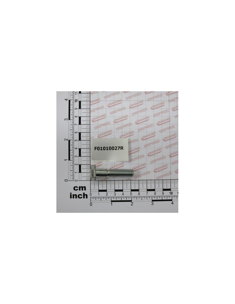 SCR. M10X1,25X45  U5740  8.8ZN
