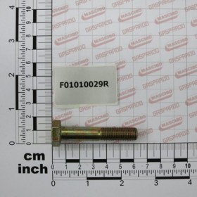 SCR. M10X1,25X55  U5738  8.8ZN