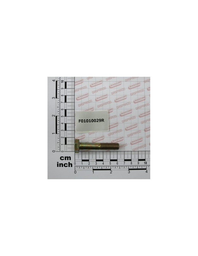 SCR. M10X1,25X55  U5738  8.8ZN