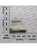 SCR. M10X1,25X55  U5738  8.8ZN