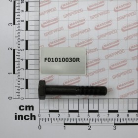 SCR. M10X1,25X60  U5738  8.8BR