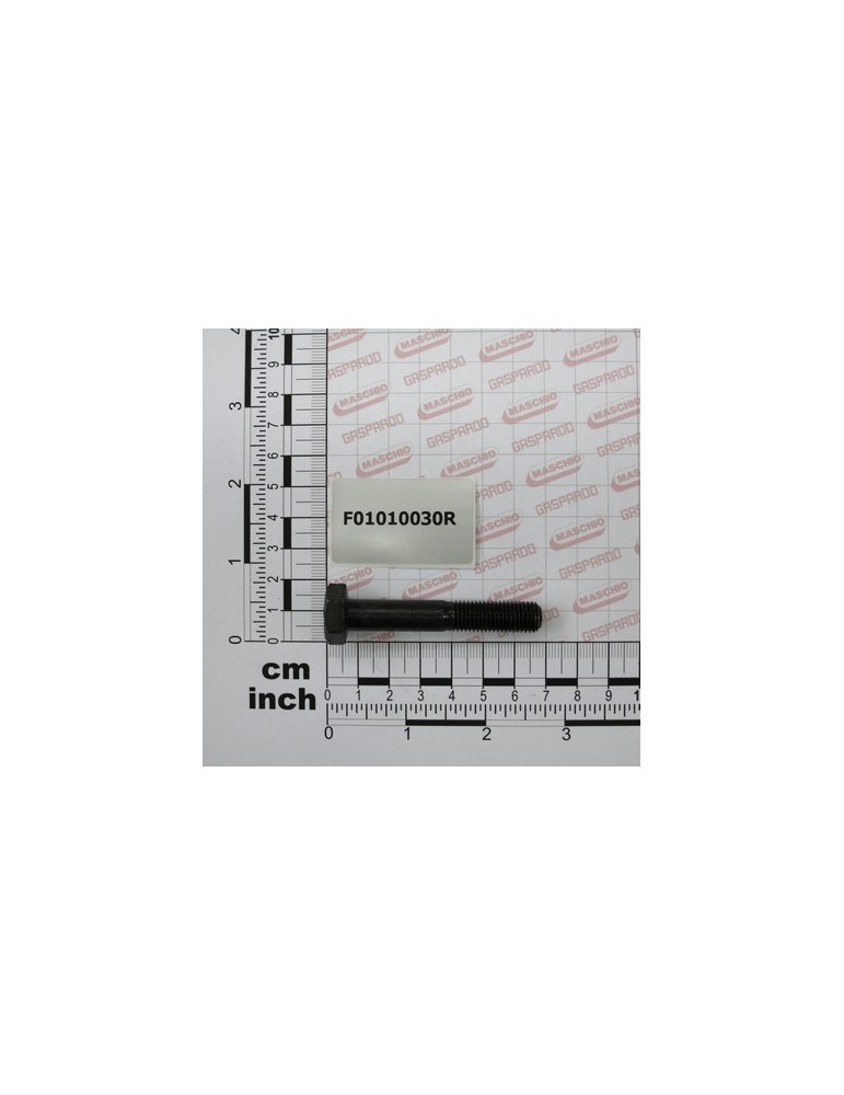 SCR. M10X1,25X60  U5738  8.8BR