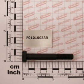 SCR. M10X1,25X80  U5738  8.8ZN
