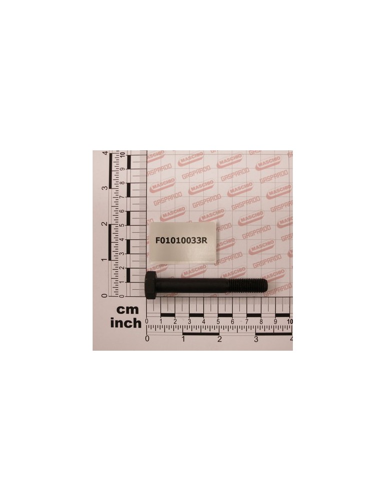 SCR. M10X1,25X80  U5738  8.8ZN