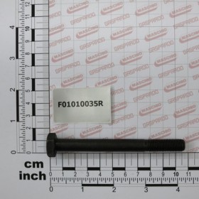 SCR. M10X1,25X100 U5738  8.8BR