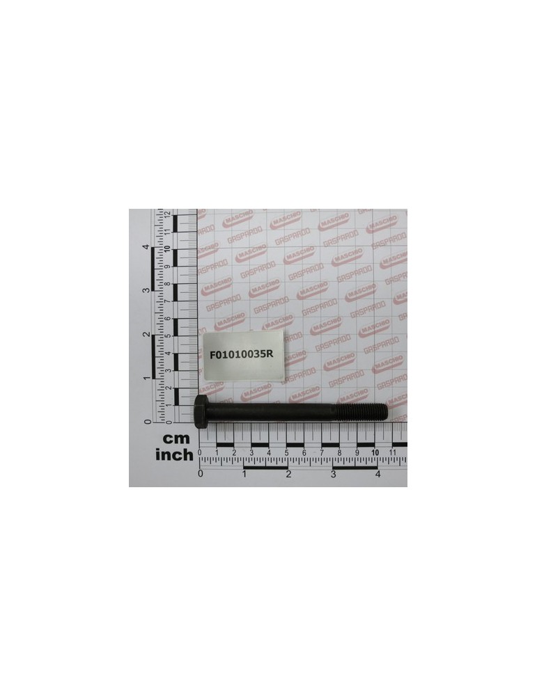 SCR. M10X1,25X100 U5738  8.8BR