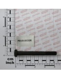 SCR. M10X1,25X100 U5738  8.8BR