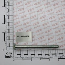 SCR. M10X1,25X120 U5738  8.8ZN