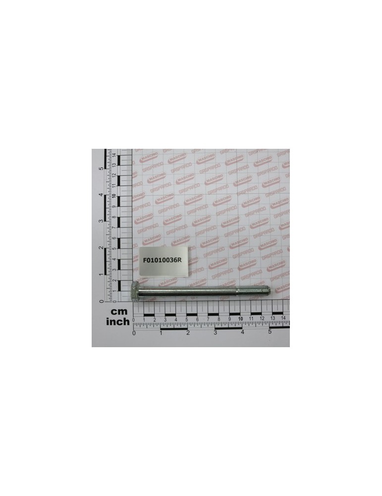 SCR. M10X1,25X120 U5738  8.8ZN
