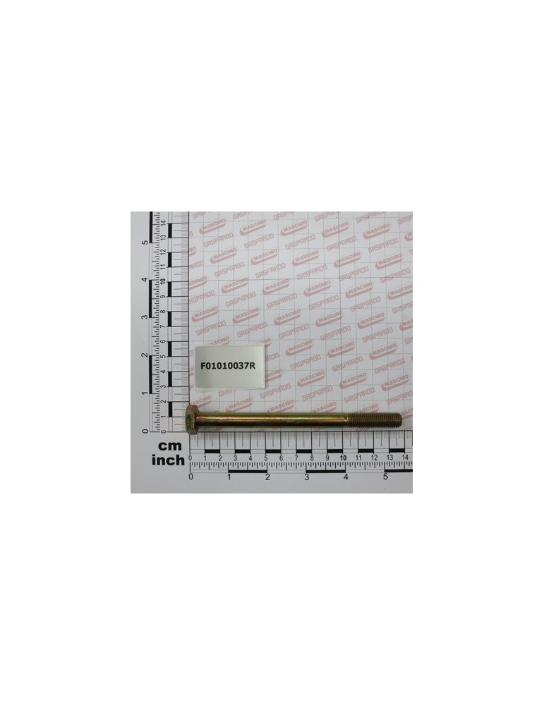 SCR. M10X1,25X130 U5738  8.8ZN