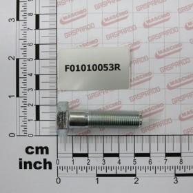 SCR. M12X1,25X45  U5738  8.8ZN