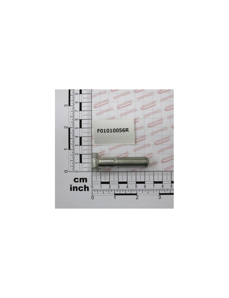 SCR. M12X1,25X55  U5738  8.8ZN