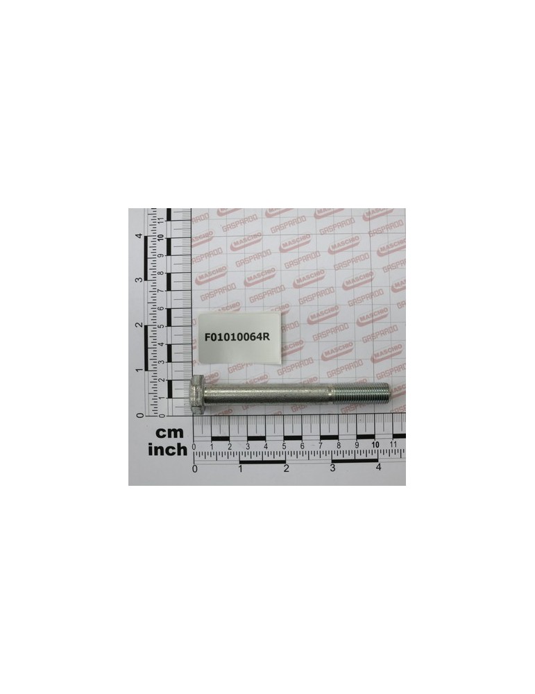 SCR. M12X1,25X100 U5738  8.8ZN