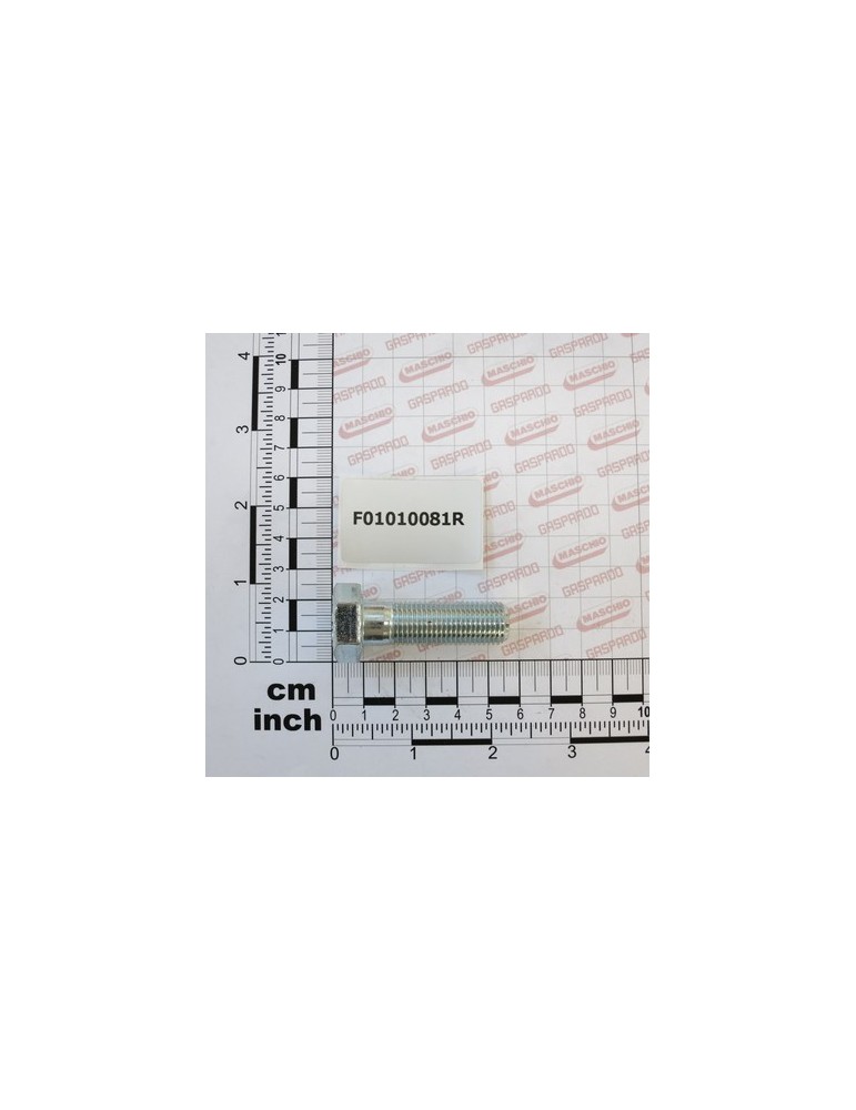 SCR. M14X1,5X45   U5738  8.8ZN