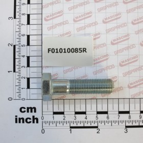 SCR. M14X1,5X55   U5738 10.9ZD