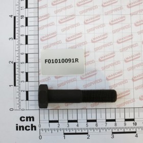 SCR. M14X1,5X70   U5738  8.8BR