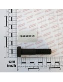SCR. M14X1,5X70   U5738  8.8BR