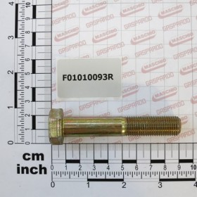 SCR. M14X1,5X80   U5738  8.8ZN