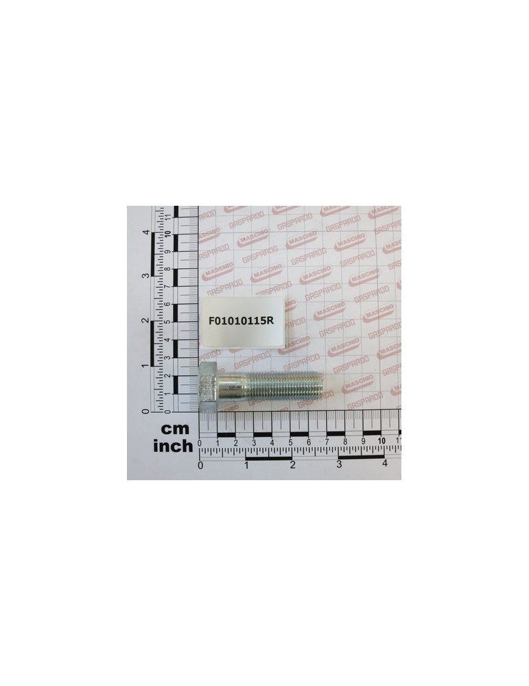 SCR. M16X1,5X55   U5738  8.8ZN