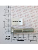 SCR. M16X1,5X80   U5738  8.8ZN