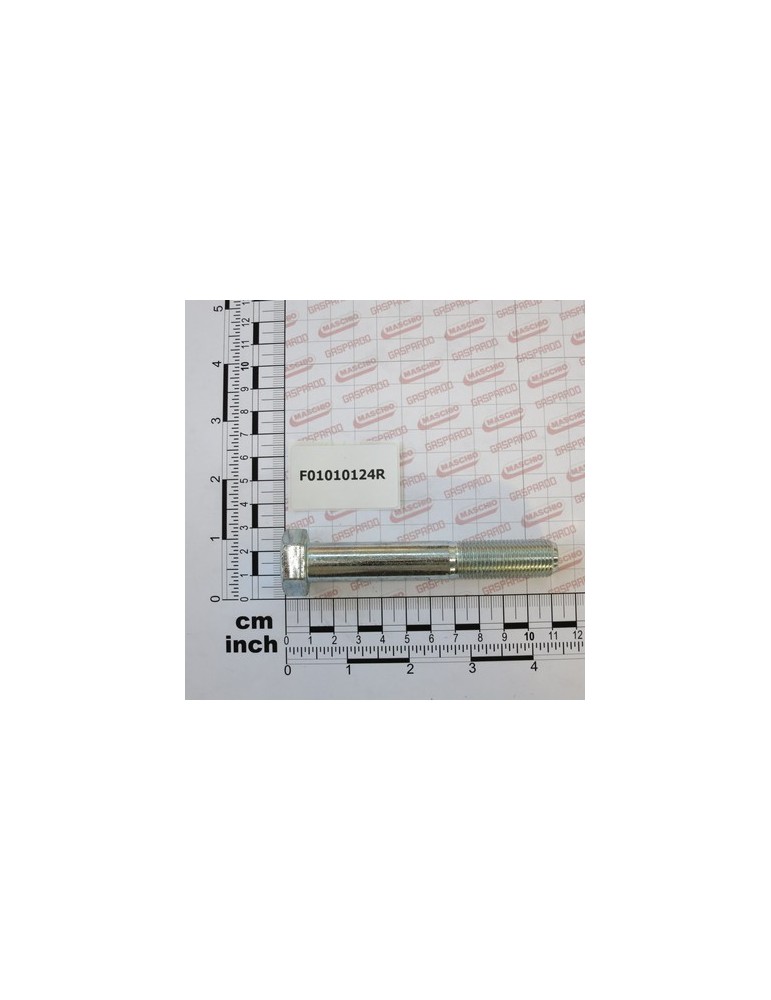 SCR. M16X1,5X100  U5738  8.8ZN