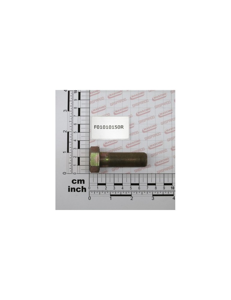 SCR. M18X1,5X55   U5738 10.9ZD