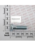 SCR. M18X1,5X60   U5738  8.8ZN