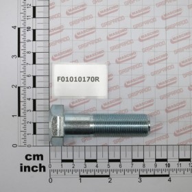SCR. M20X1,5X70   U5738  8.8ZN