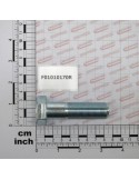 SCR. M20X1,5X70   U5738  8.8ZN