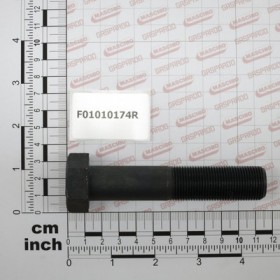 SCR. M20X1,5X100  U5738  8.8BR