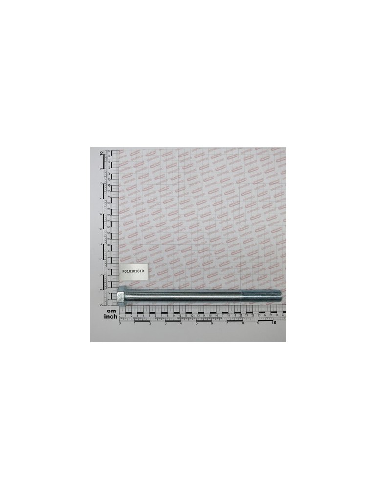 SCR. M20X1,5X250  U5738  8.8ZN