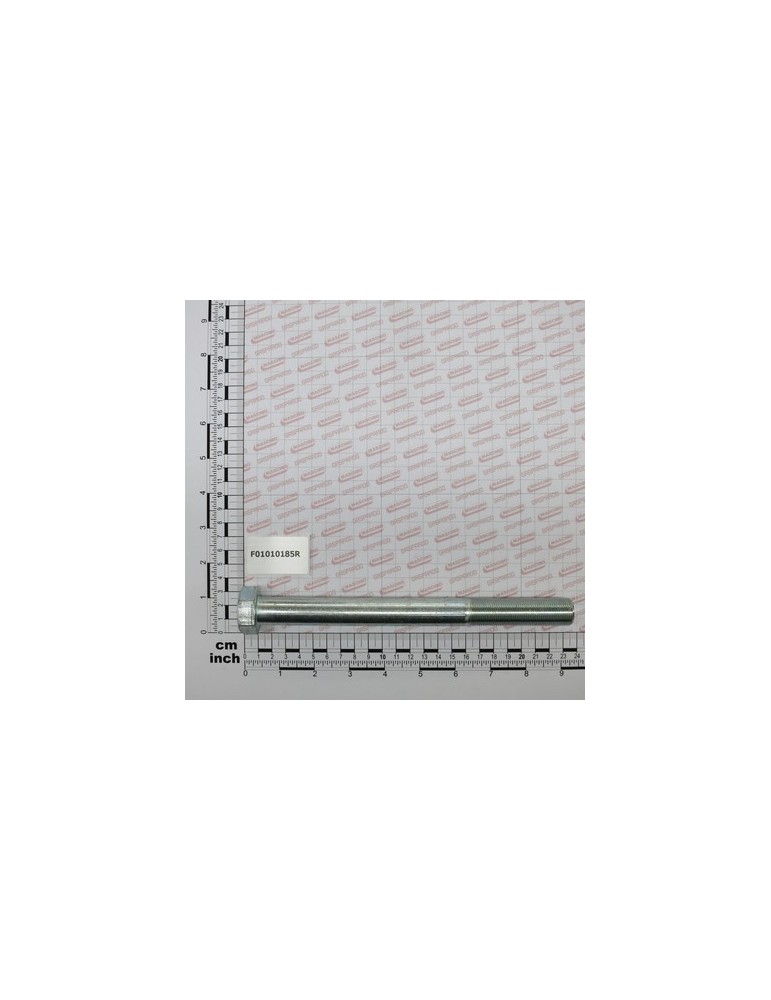 SCR. M20X1,5X220  U5738  8.8ZN