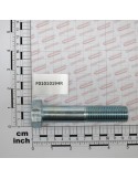 SCR. M22X1,5X110  U5738  8.8ZN